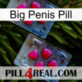 Big Penis Pill 14